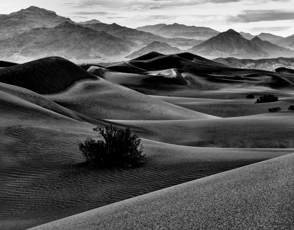 Black and White Dawn In the Dunes by jgpittenger
