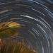 Star trail by goosemanning