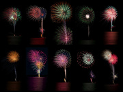 5th Jul 2013 - Flowerpots of Fireworks