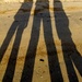 Shadow dancers by corymbia