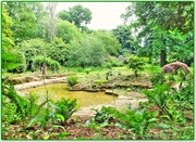 6th Jul 2013 - Ornamental Pond,Delapre Abbey Gardens