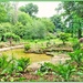 Ornamental Pond,Delapre Abbey Gardens by carolmw