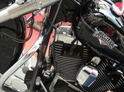6th Apr 2009 - Harley Davidson