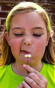 6th Jul 2013 - Not a dandelion clock ...