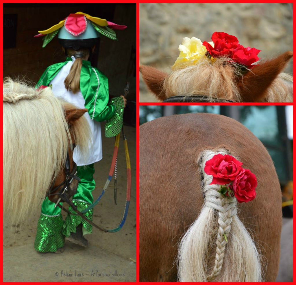 Flower ride & pony by parisouailleurs