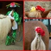 Flower ride & pony by parisouailleurs