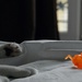 with the orange toy on the bed by parisouailleurs