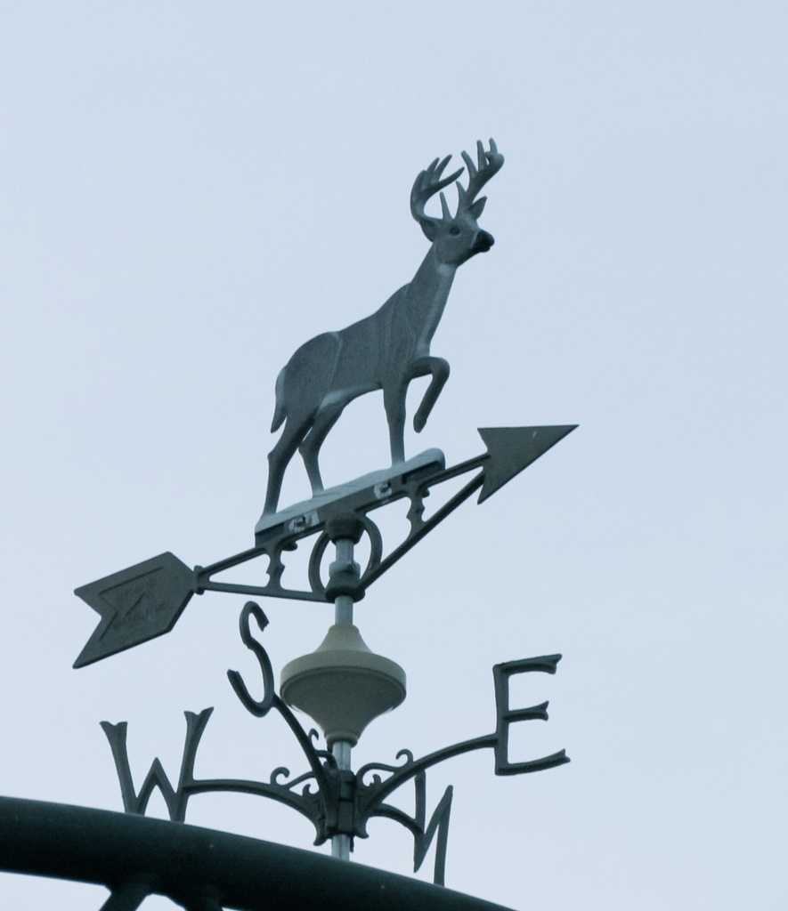 Deer Weather Vane by juletee