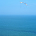 That famous water sport: kite swimming by will_wooderson