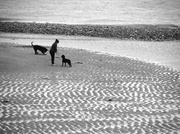 8th Jul 2013 - Sand tracks