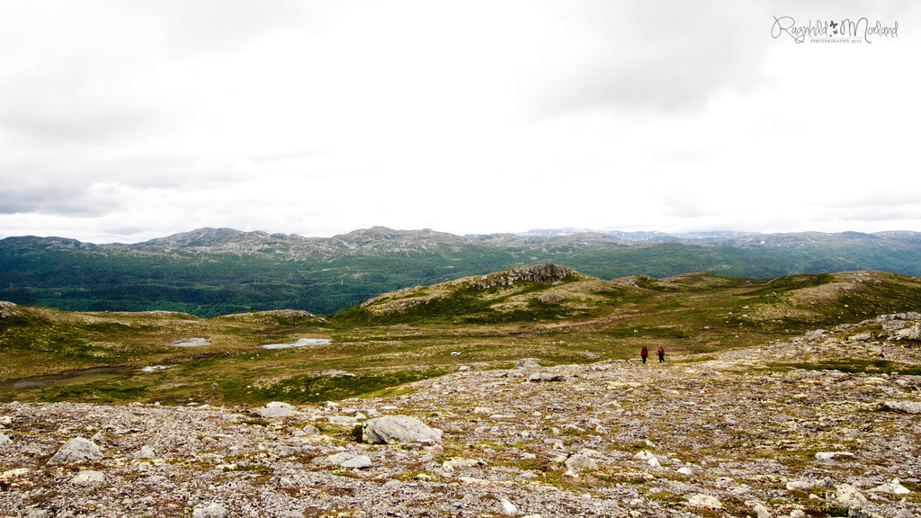 The Hardangervidda by ragnhildmorland