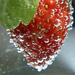 Strawberry Fizz   by onewing
