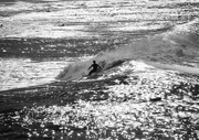 9th Jul 2013 - Silver surfer