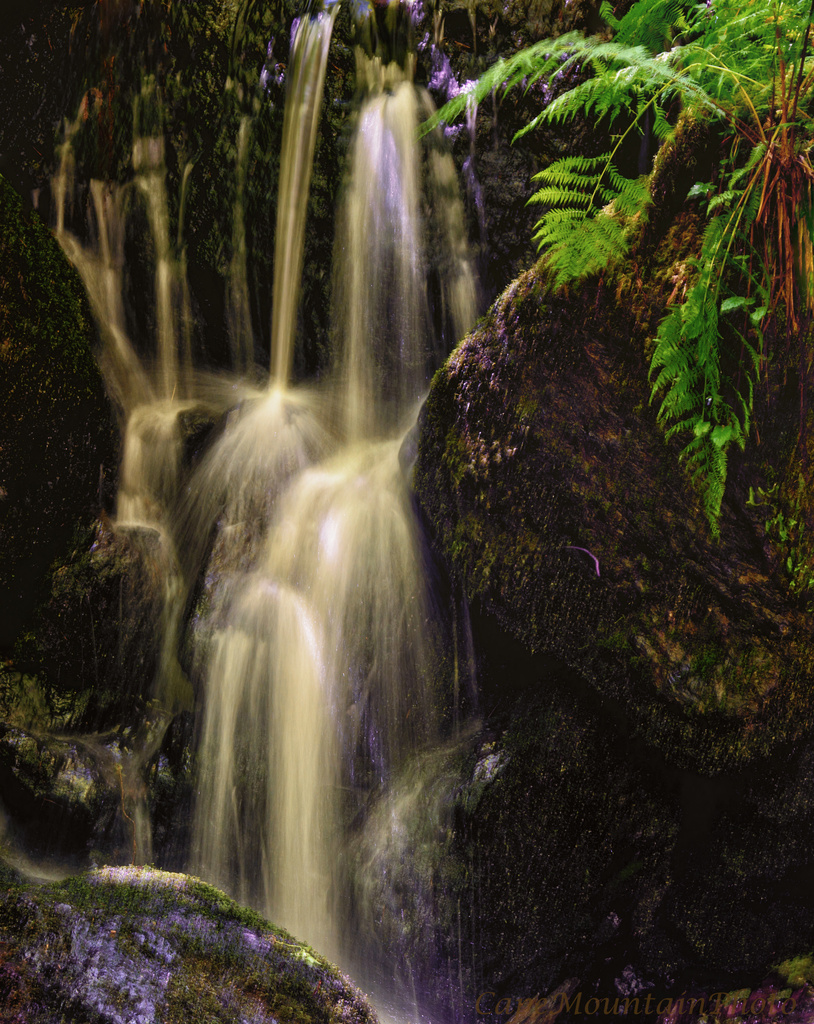 Waterfall In the Redwoods  by jgpittenger