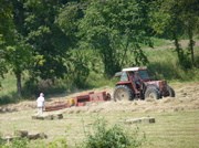 9th Jul 2013 - Making hay while the sun shines