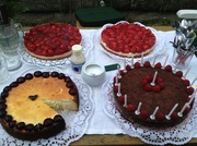 6th Jul 2013 - Cake Competition