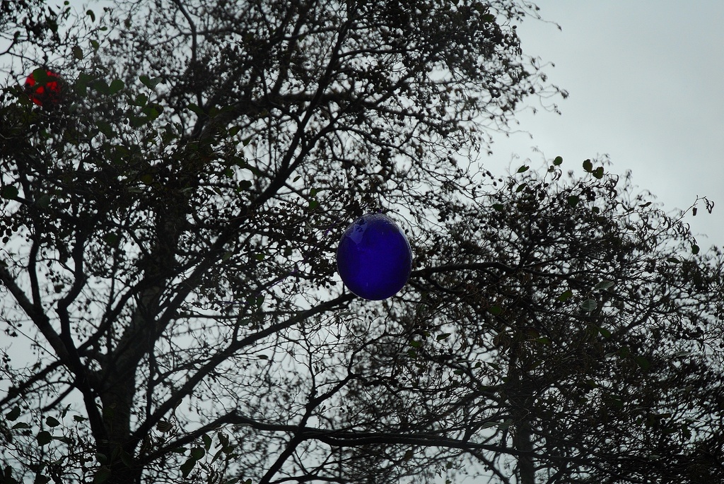 Whose balloons? by yaorenliu