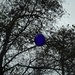 Whose balloons? by yaorenliu