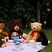 10th July 2013 Picnic in the Park by pamknowler