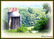 6th Jul 2013 - Silos in the country