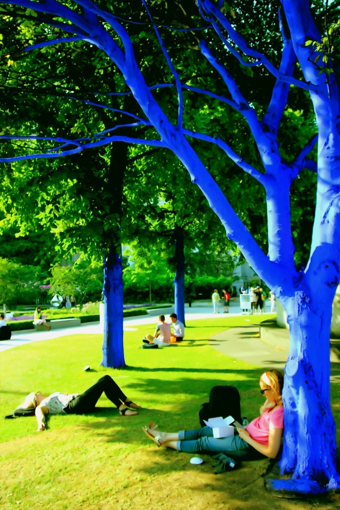 So they painted the trees blue....? by streats