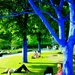 So they painted the trees blue....? by streats