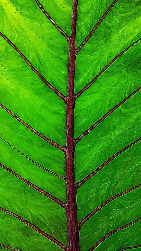 Leaf Tree by sbolden