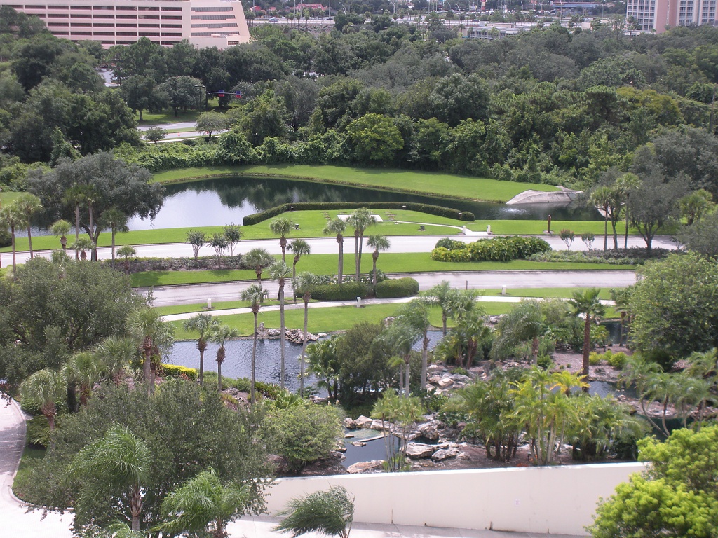 View From Hyatt, Orlando FL by graceratliff