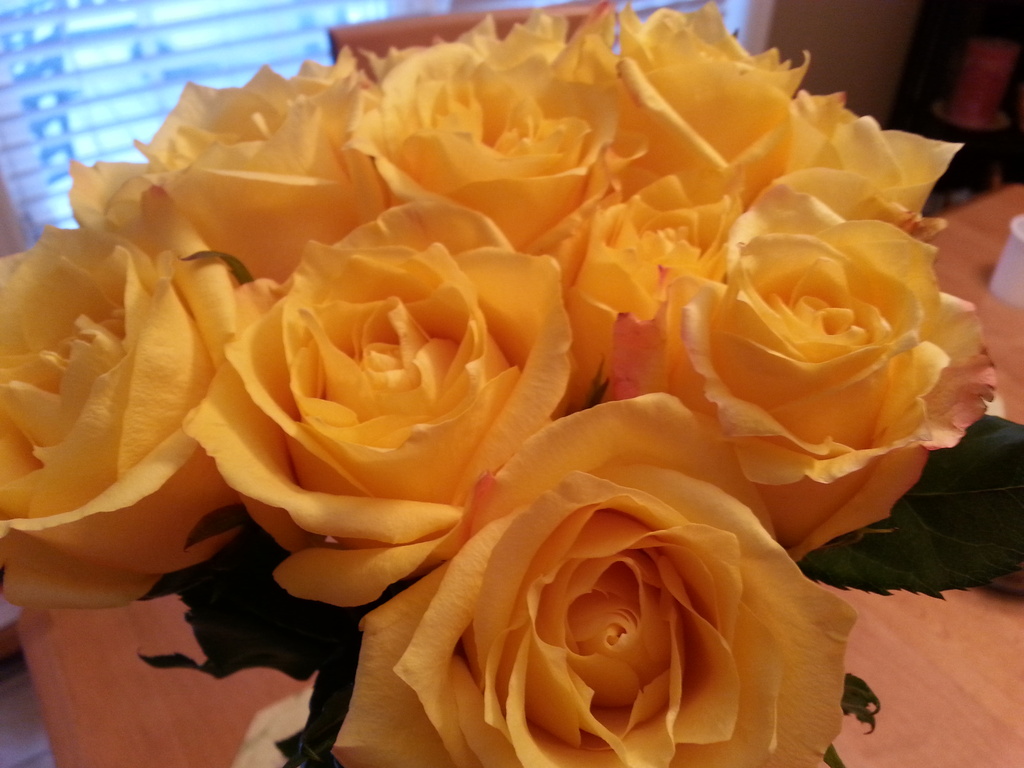 Anniversary Roses by graceratliff