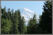 7th Jul 2013 - Rainier from Kautz Creek Trail