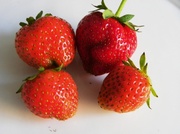 8th Jul 2013 - Strawberries