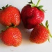 Strawberries by oldjosh