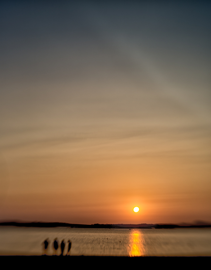 Lensbaby Sunset by jocasta