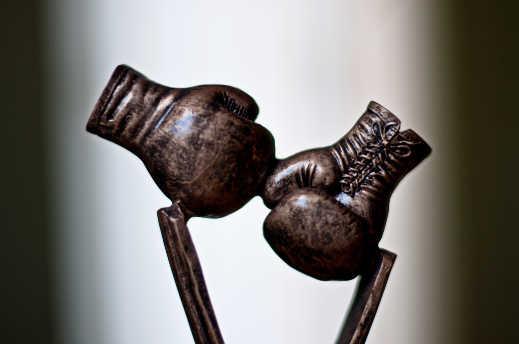 boxing gloves by walia