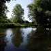 River reflection - 11-7 by barrowlane
