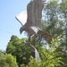  Red Kite Statue, Llanwrtyd Wells by susiemc
