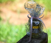 11th Jul 2013 - Honey - wedding favors.