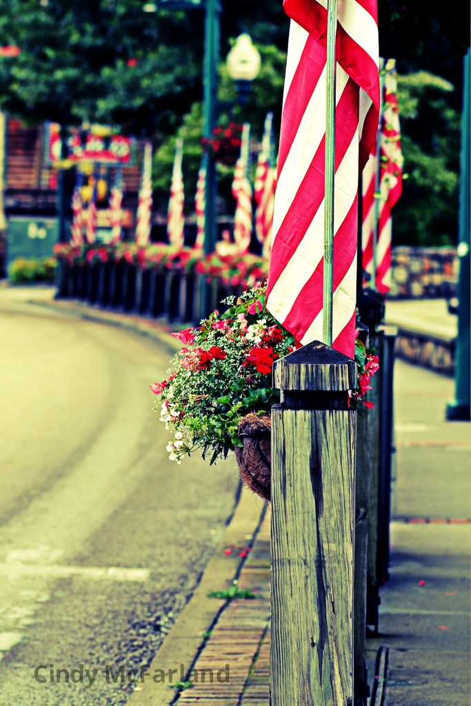 Flags and Flowers by cindymc