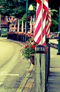 11th Jul 2013 - Flags and Flowers