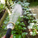 Watering the Spuds by harveyzone