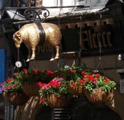 12th Jul 2013 - The Golden Fleece, York