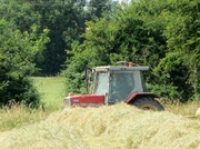 12th Jul 2013 - Making hay while the sun shines.