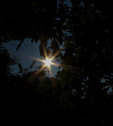 12th Jul 2013 - Sunflare