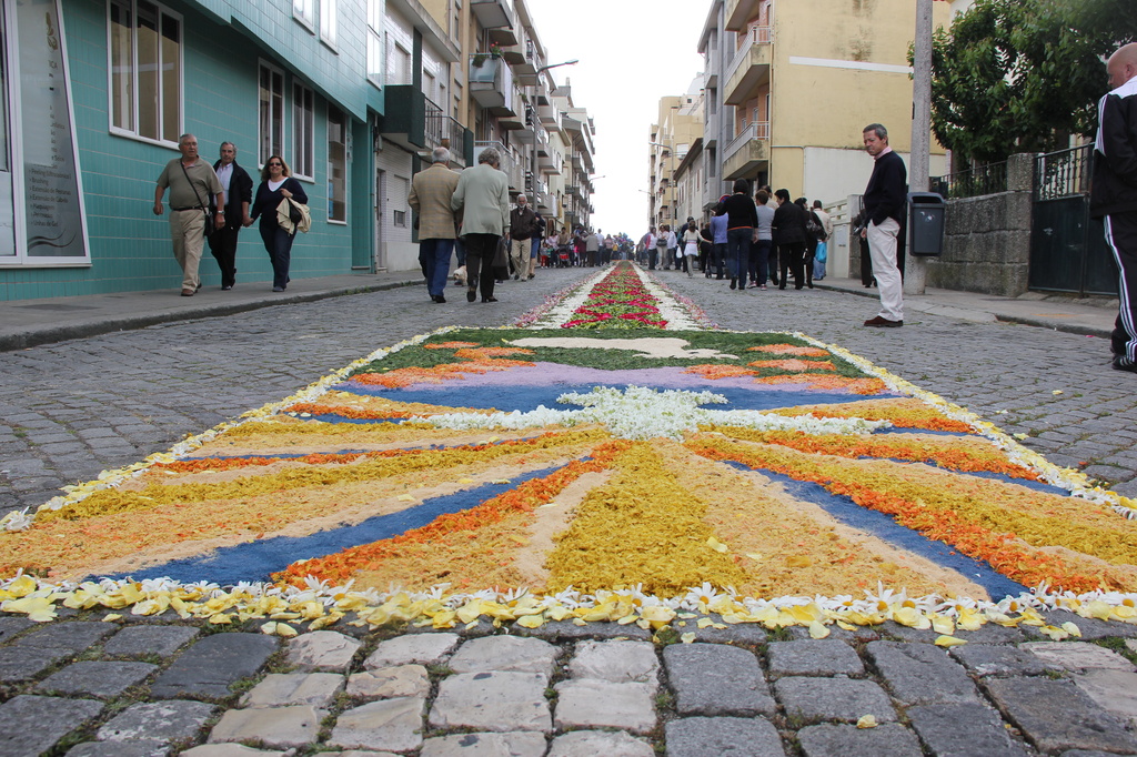 Flower carpets by belucha