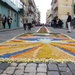 Flower carpets by belucha