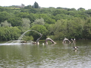 12th Jul 2013 -  The Fountain in The Lake at Llandrindod Wells