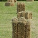 Bales by roachling