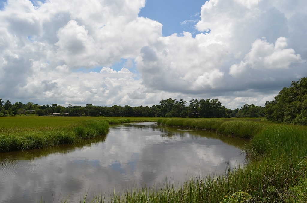 Classic summer cloud formations at Charles Towne Landing State Historic Site, Charleston, SC by congaree