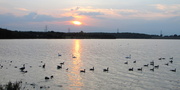 13th Jul 2013 - Sunset over Grafham reservoir