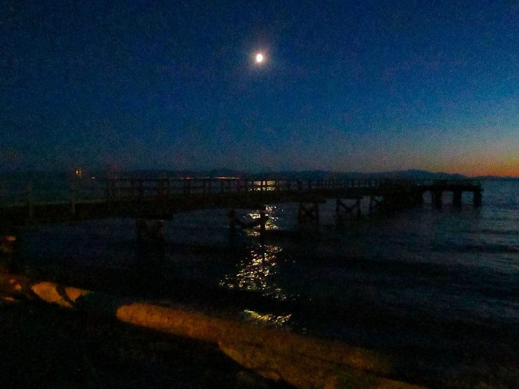 Moonlight Bay by pamelaf
